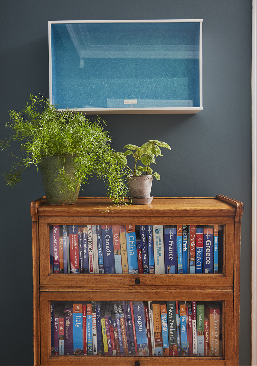 Forbes Rix Detached House Richmond